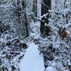 Shadow Lake Nature Preserve