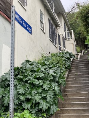 Music Box Stairs by null