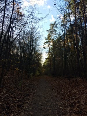 Grunewald by null