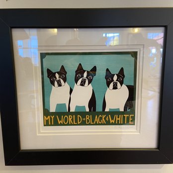 Dog Mountain - Dog Parks Near Me - St. Johnsbury, Vermont