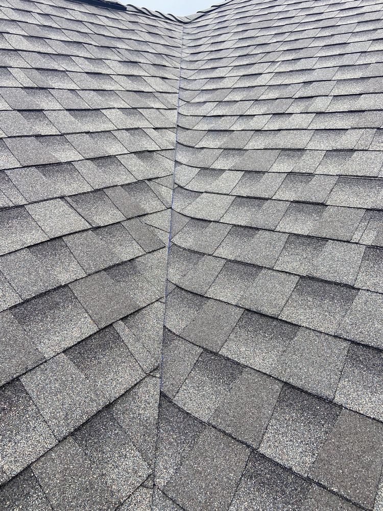 Slide of The Roof Joker