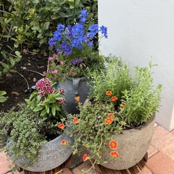 Busy Bee Lawn & Garden Center - Container gardens