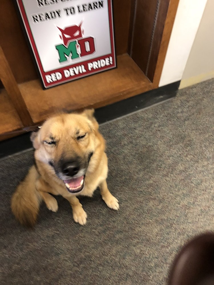 MT DIABLO HIGH SCHOOL 15 Reviews 2450 Grant St, Concord, CA Yelp