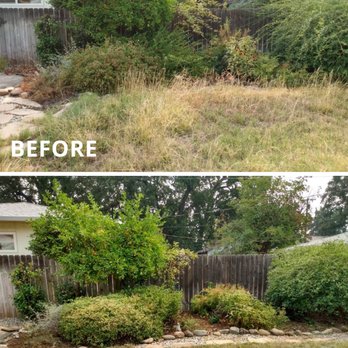 Cut And Trim Yard Service - Another week, another quality yard makeover in Redding, CA. Proper trimming helps to restore the plants health and encourage new growth. - Gardeners Near Me