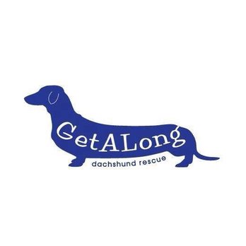 getalong dachshund rescue - Pet Adoption Near Me getalong dachshund rescue - Pet Adoption Near Me