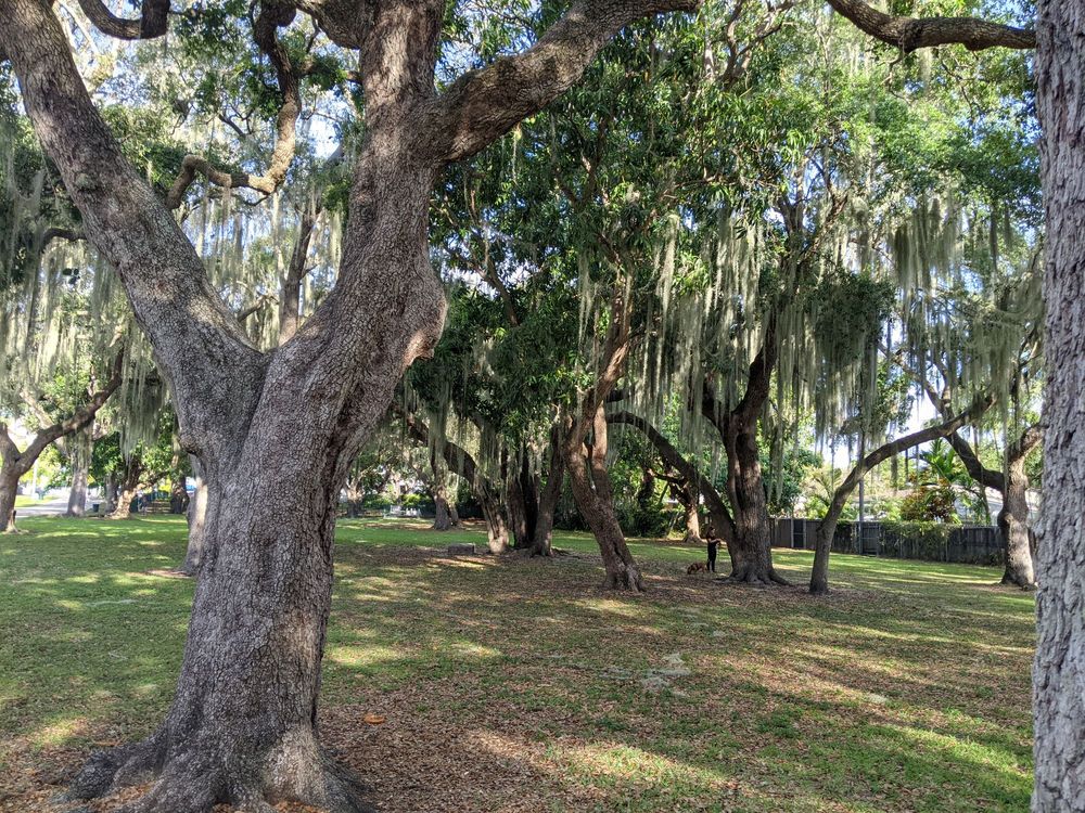 Legion Park Image