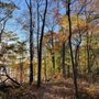 Photo of Seven Lakes State Park
