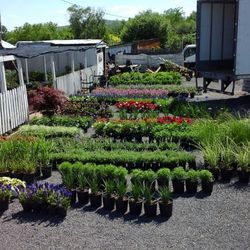 Bucks County Nursery