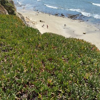Shoreline Park - Parks Near Me - Santa Barbara, California Shoreline Park - Parks Near Me - Santa Barbara, California