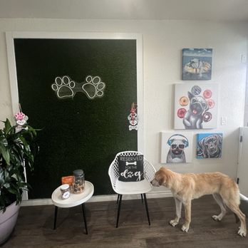 Selfie Dog Wash - Pet Groomers Near Me - Bonita, California Selfie Dog Wash - Pet Groomers Near Me - Bonita, California
