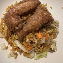 Honey chicken and vegetable fried rice. I ordered 6 honey chicken wings and a small veggie rice. I didn't photograph it all here.