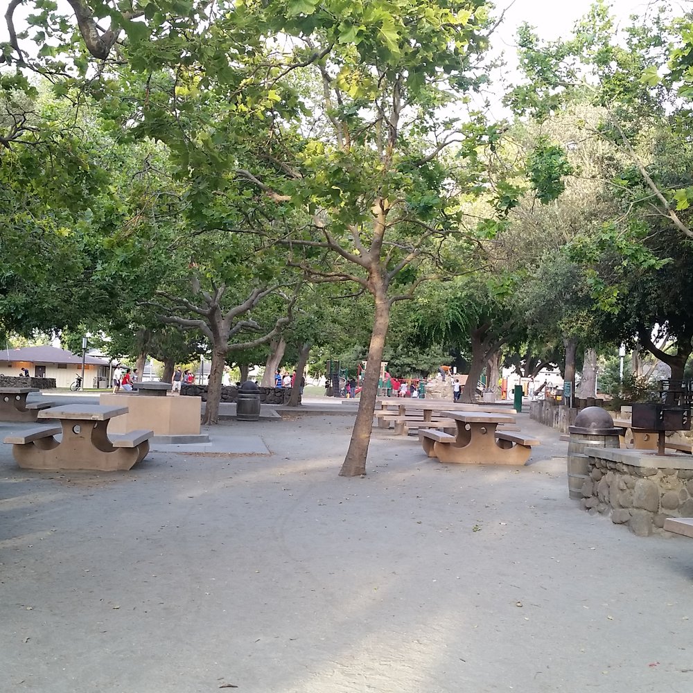 Ponderosa Park - Another view of reserveable picnic area - Parks Near Me - Sunnyvale, California Ponderosa Park - Another view of reserveable picnic area - Parks Near Me - Sunnyvale, California