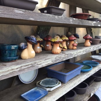 Lone Pine Gardens - Nurseries & Gardening Near Me - Sebastopol, California