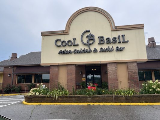 Cool Basil Clive by null