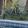 Photo of Garza Pools
