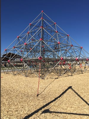 Neptune Park by null