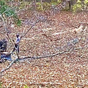 Elite Tree Care - Elite Tree Care -- RC stump grinder - Tree Services Near Me - Paoli, Pennsylvania