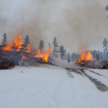 Bradeen Skid Steer Services - Brush pile burning, Black Hills, South Dakota. Bradeen Skid Steer Services - Tree Services Near Me Bradeen Skid Steer Services - Brush pile burning, Black Hills, South Dakota. Bradeen Skid Steer Services - Tree Services Near Me