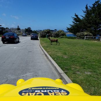 GoCar Tours - Tours Near Me - Monterey, California GoCar Tours - Tours Near Me - Monterey, California