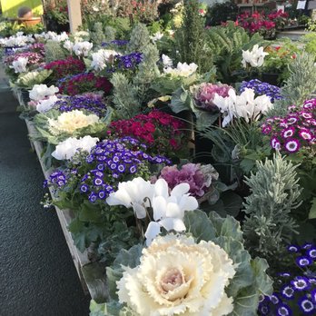 SummerWinds Nursery - Campbell - Nurseries & Gardening Near Me - Campbell, California SummerWinds Nursery - Campbell - Nurseries & Gardening Near Me - Campbell, California