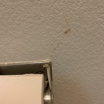 Super 8 by Wyndham Stephenville - Stains on wall next to toilet paper? I hope that's not what I think it is..... - Hotels Near Me - Stephenville, Texas Super 8 by Wyndham Stephenville - Stains on wall next to toilet paper? I hope that's not what I think it is..... - Hotels Near Me - Stephenville, Texas