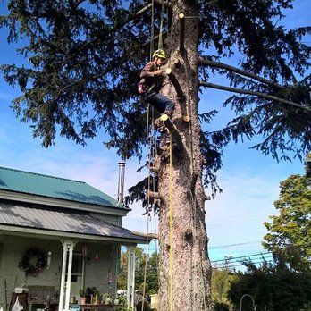 Crouse Tree Service - a man climbing a tree - Tree Services Near Me - Pulaski, New York Crouse Tree Service - a man climbing a tree - Tree Services Near Me - Pulaski, New York