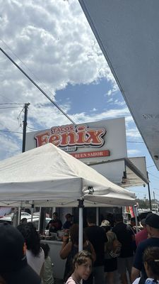 Tacos Fenix (Fish & Shrimp) by null