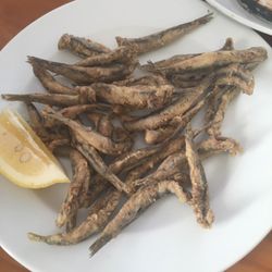 L'avi Bernadet Fiol
