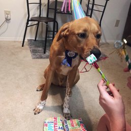 Chance's very first birthday!