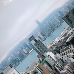 The view.