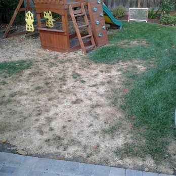 Earthcare Landscaping - From the time it was installed the lawn slowly began to die. - Landscaping Near Me - San Jose, California Earthcare Landscaping - From the time it was installed the lawn slowly began to die. - Landscaping Near Me - San Jose, California
