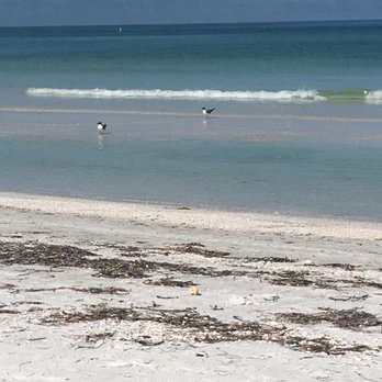 Pass-A-Grille Beach - Beach Day!!! - Beaches Near Me - Saint Pete Beach, Florida