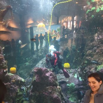 Seattle Aquarium - Aquariums Near Me - Seattle, Washington