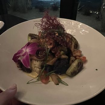 DIOSA - Octopus Zarandeado - New Mexican Cuisine Near Me - Downey, California