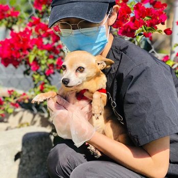 Happy Pet Paradise - Pet Sitting Near Me - Temple City, California Happy Pet Paradise - Pet Sitting Near Me - Temple City, California