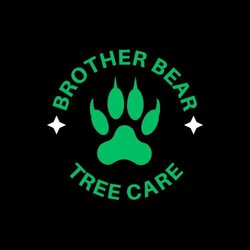 Brother Bear Tree Care