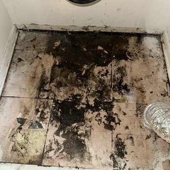 RST & Associates - The closet floor w mold they refused to acknowledge - Property Management Near Me - Los Angeles, California RST & Associates - The closet floor w mold they refused to acknowledge - Property Management Near Me - Los Angeles, California