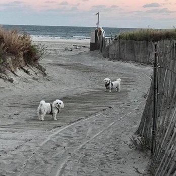 Wildwood Crest Beach - Beaches Near Me Wildwood Crest Beach - Beaches Near Me