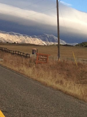 Howlers Inn B&B and Wolf Sanctuary, Bozeman MT Bed and Breakfast Lodging by null