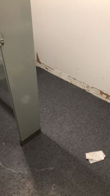 Cassidy Custom Homes Services