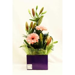 Colonnades Florist