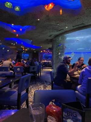 Aquarium Restaurant by null