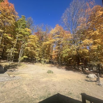 Calgaro Tree Service - Tree Services Near Me - Iron Junction, Minnesota Calgaro Tree Service - Tree Services Near Me - Iron Junction, Minnesota
