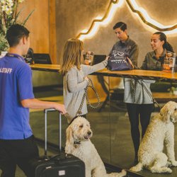 Whitney Peak Hotel Reno, Tapestry Collection by Hilton - Pet Friendly Check In