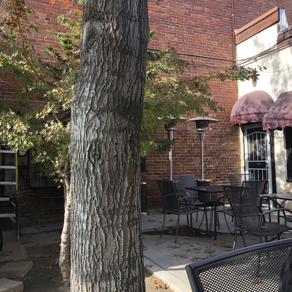 Two Cities Coffee Roasters - Nice patio shared with an adorable hair salon. Dog-friendly. - Coffee Roasteries Near Me - Clovis, California Two Cities Coffee Roasters - Nice patio shared with an adorable hair salon. Dog-friendly. - Coffee Roasteries Near Me - Clovis, California