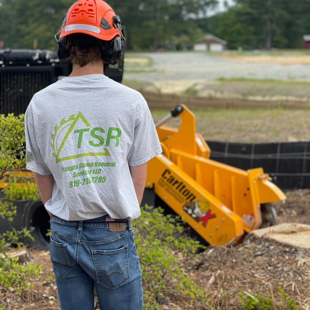 TSR Tree Service - tree service in Wake Forest, NC