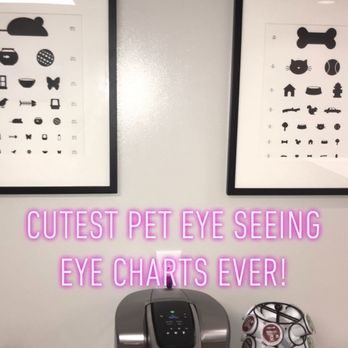 Pacific Animal Eye Care - Pacific Animal Eyecare 'pet seeing eye charts" lol - Veterinarians Near Me - Kaneohe, Hawaii Pacific Animal Eye Care - Pacific Animal Eyecare 'pet seeing eye charts" lol - Veterinarians Near Me - Kaneohe, Hawaii
