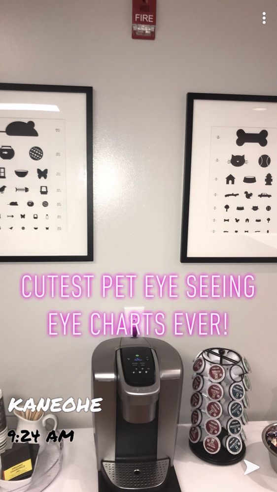 PACIFIC ANIMAL EYE CARE 16 Photos & 15 Reviews 45943 Kamehameha