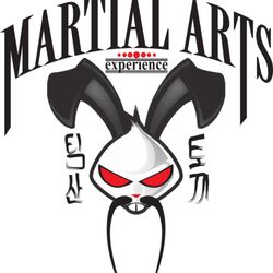 The Martial Arts Experience