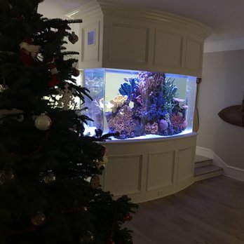 OC Fish - Aquarium Services Near Me - San Clemente, California OC Fish - Aquarium Services Near Me - San Clemente, California